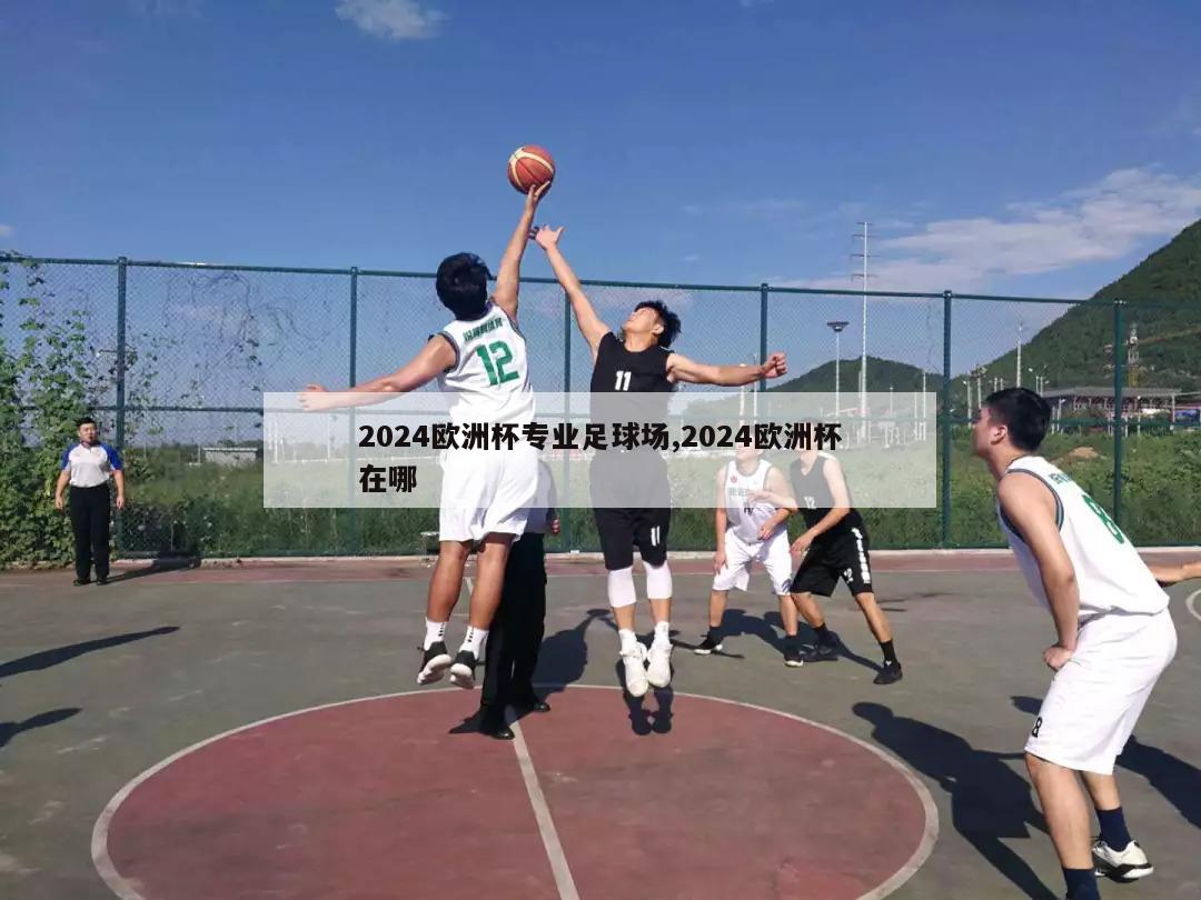 2024欧洲杯专业足球场,2024欧洲杯在哪