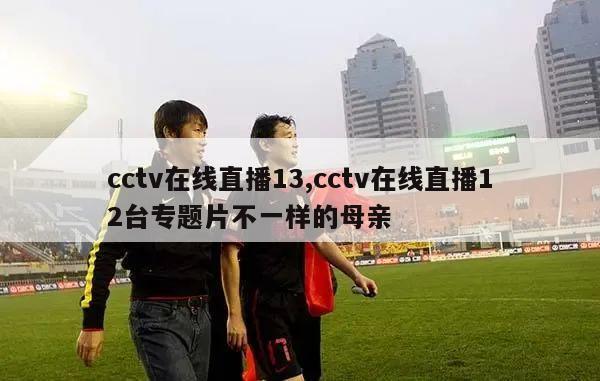 cctv在线直播13,cctv在线直播12台专题片不一样的母亲