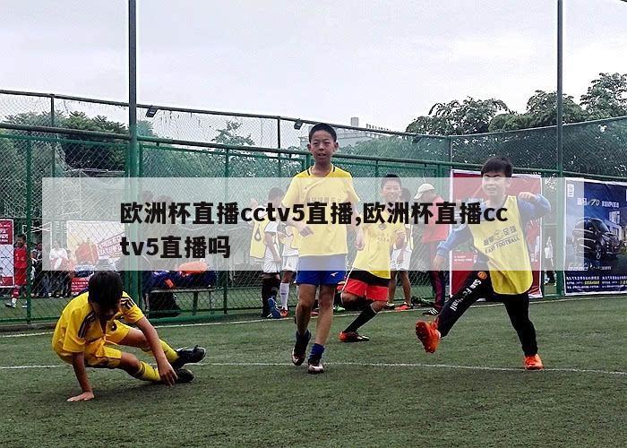 欧洲杯直播cctv5直播,欧洲杯直播cctv5直播吗