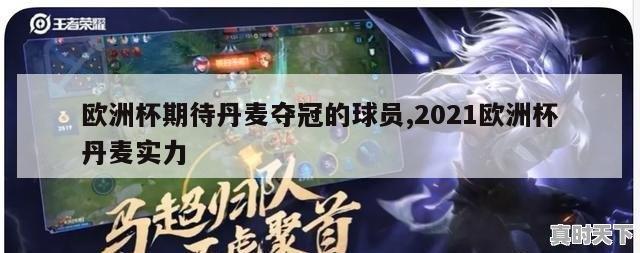 欧洲杯期待丹麦夺冠的球员,2021欧洲杯丹麦实力