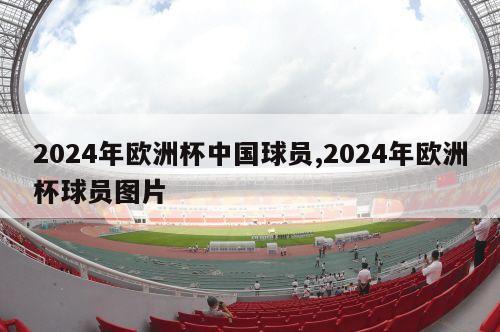 2024年欧洲杯中国球员,2024年欧洲杯球员图片